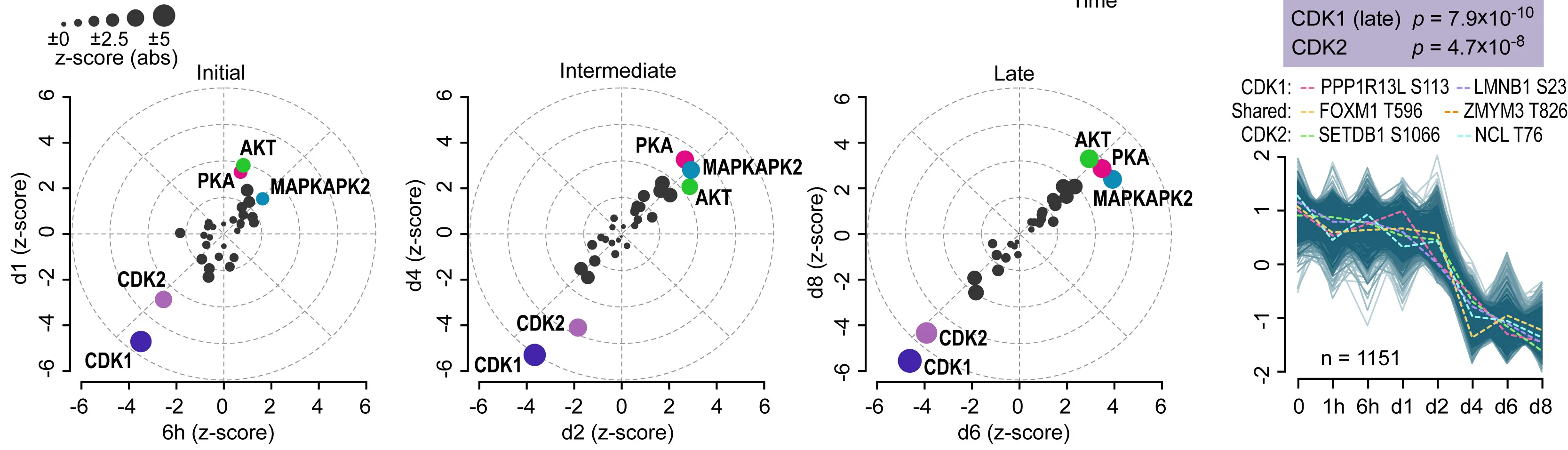 Open access visualization of Bubble Plot, Line Plot, Kinase Activity, hCO Differentiation, Time Points