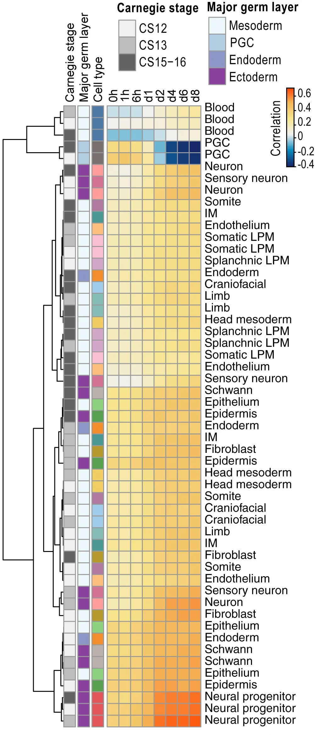 Open access visualization of Heatmap, Clustered, Gene Expression Profiles, hCOs, scRNA-seq