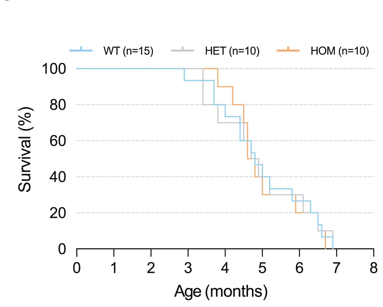 Open access visualization of Survival Curve, Line Step, WT KPC Mice, Heterozygous Mice, Homozygous Mice