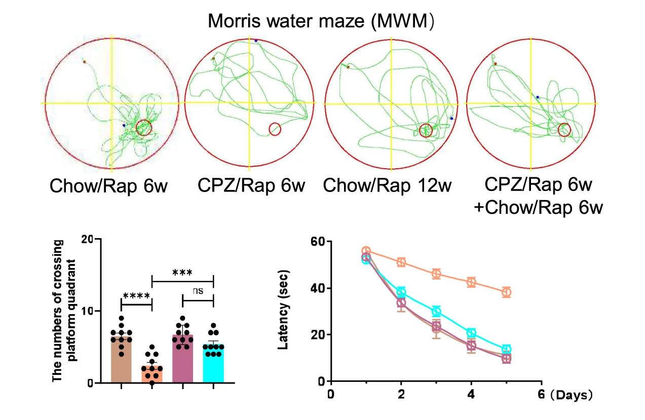 Open access visualization of Line Plot, Error Bars, Bar Plot, Morris Water Maze, Movement Paths