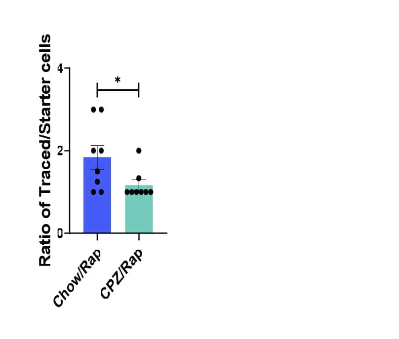 Open access visualization of Bar Plot, Error Bars, Ratio of Traced Cells, Starter Cells, Hippocampus