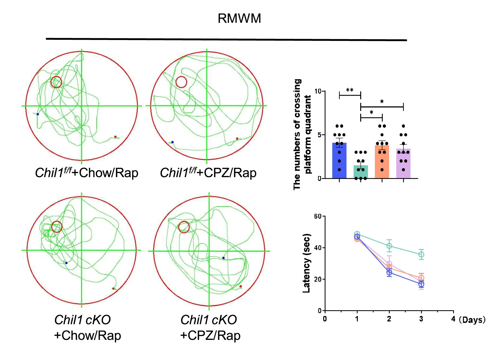 Open access visualization of Bar Plot, Scatter Plot, Line Plot, Error Bars, MWM