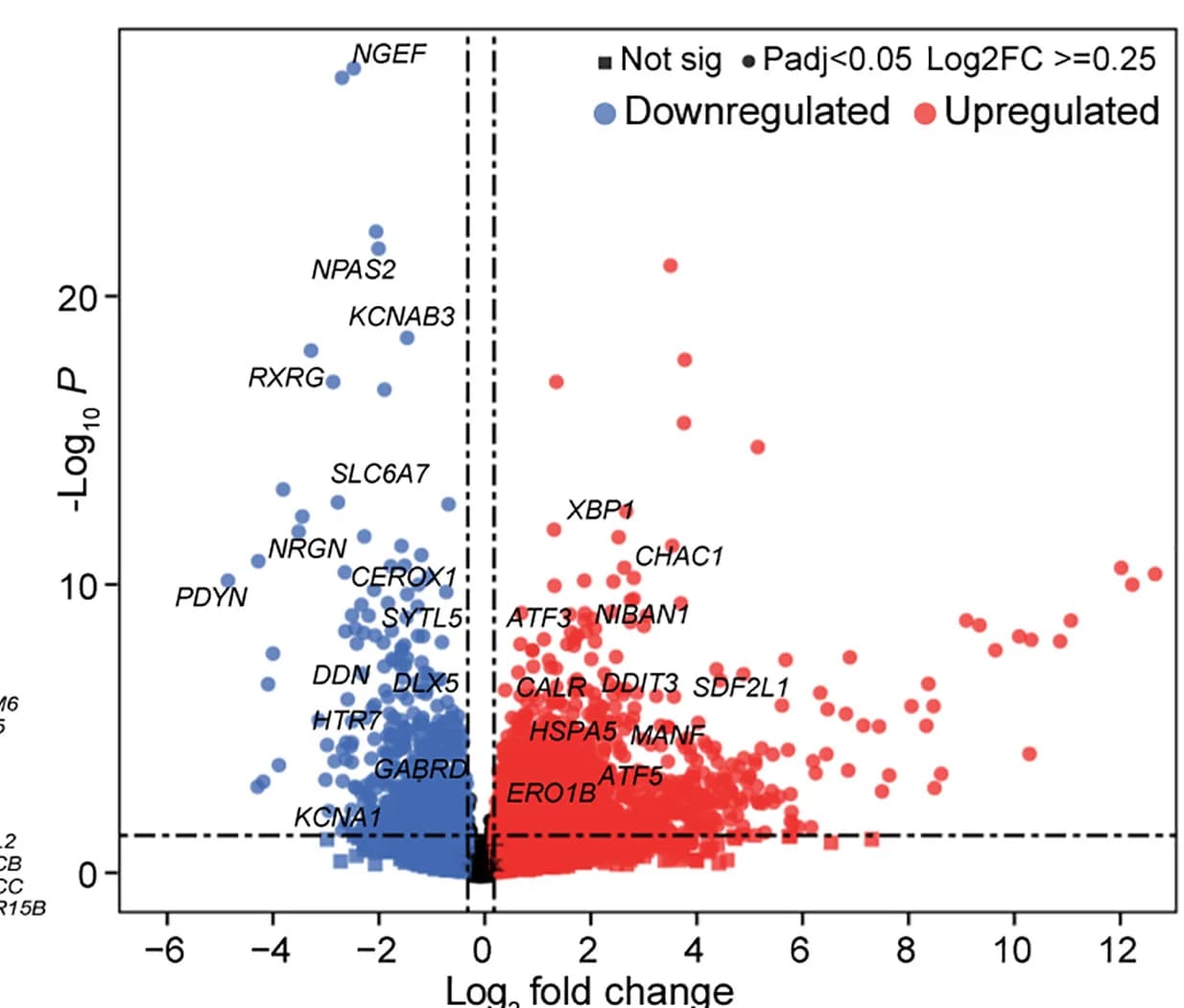 Open access visualization of Volcano Plot, Scatter Plot, DEG Analysis, Neurons, XP Patients