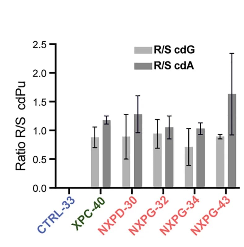 Open access visualization of Bar Plot, Error Bars, Clustered, Diastereoisomeric Ratios, cdG Lesions