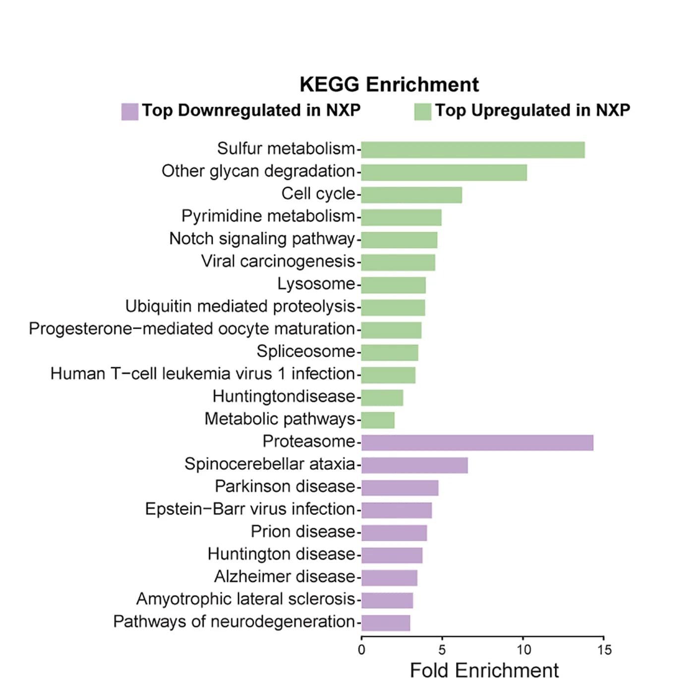Open access visualization of Bar Plot, KEGG Enrichment, Upregulated Pathways, Downregulated Pathways, NXP