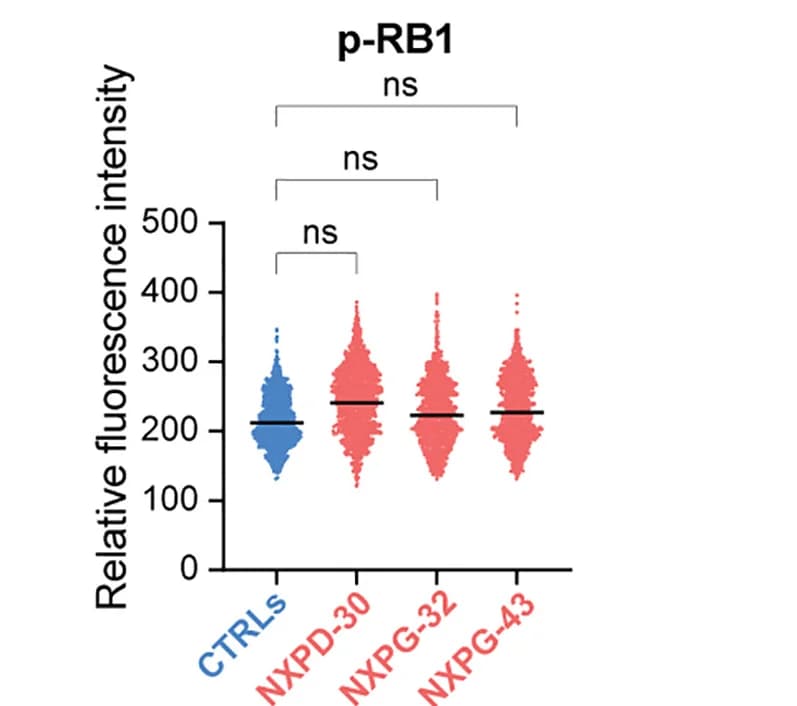 Open access visualization of Violin Plot, Fluorescence Intensity, QIF, phosphoRB1, Control Cells