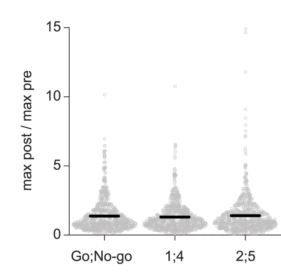 Open access visualization of Raincloud Plot, Scatter Plot, Box Plot, Violin Plot, Neurons