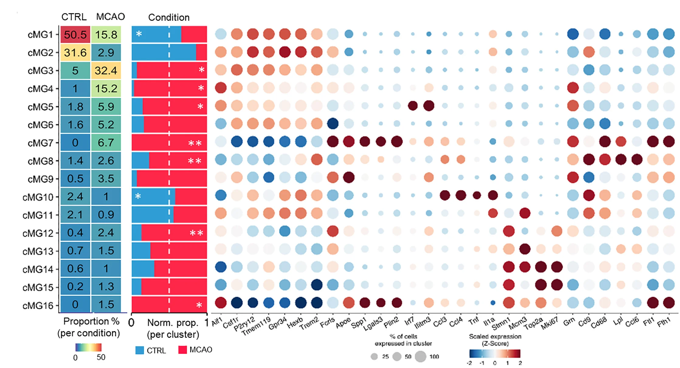 Open access visualization of Scatter Plot, Stacked Bar Plot, Cell Cluster, MCAO, CTRL Conditions
