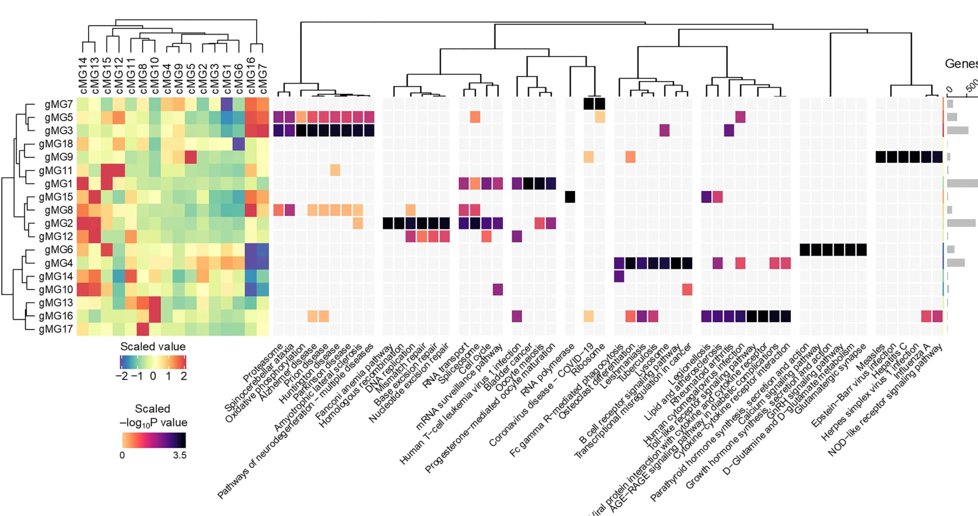 Open access visualization of Heatmap, Clustered, Bar Plot, Gene Co-expression Analysis, WGCNA