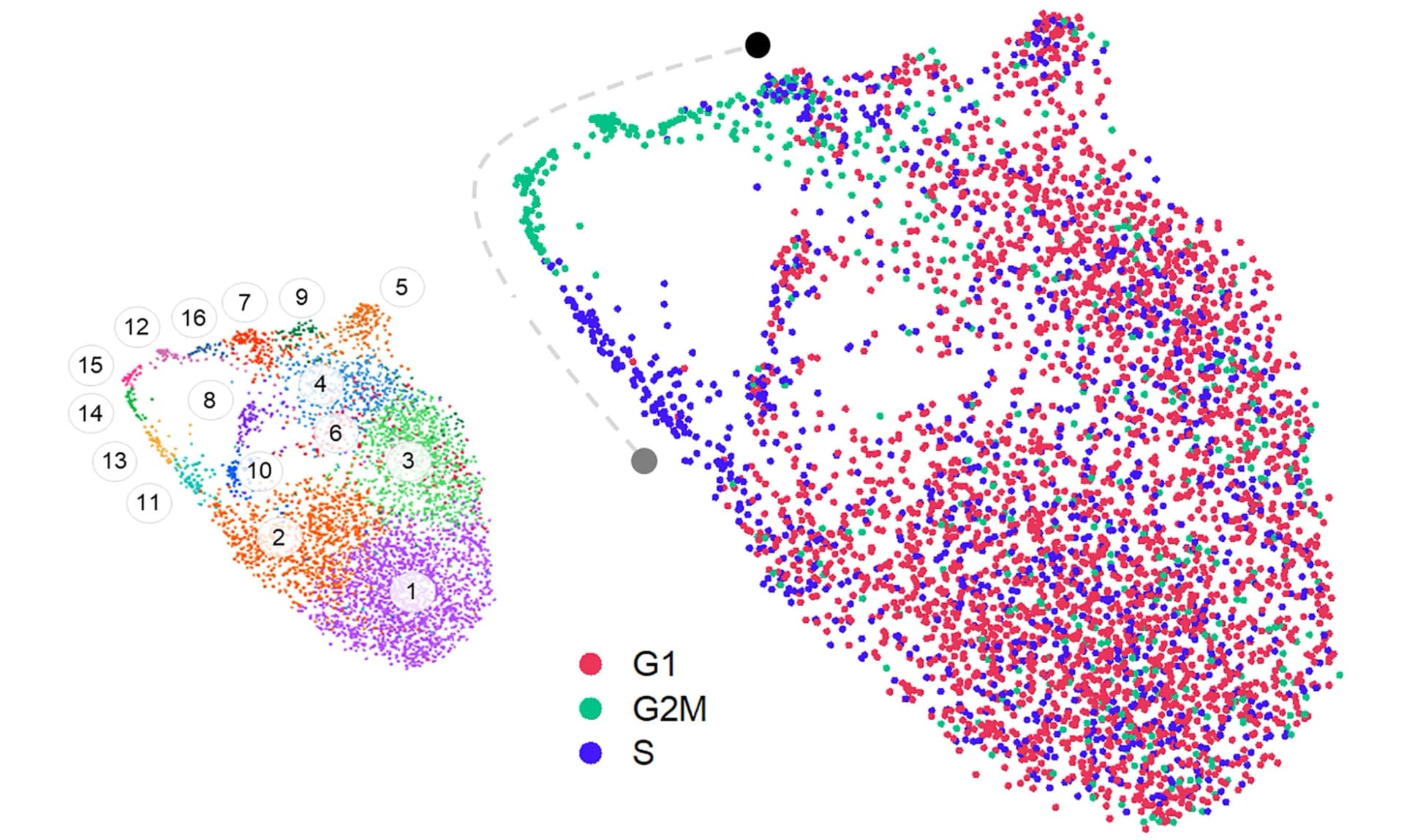 Open access visualization of Scatter Plot, UMAP, Cell Cycle, Microglia, Transcriptome