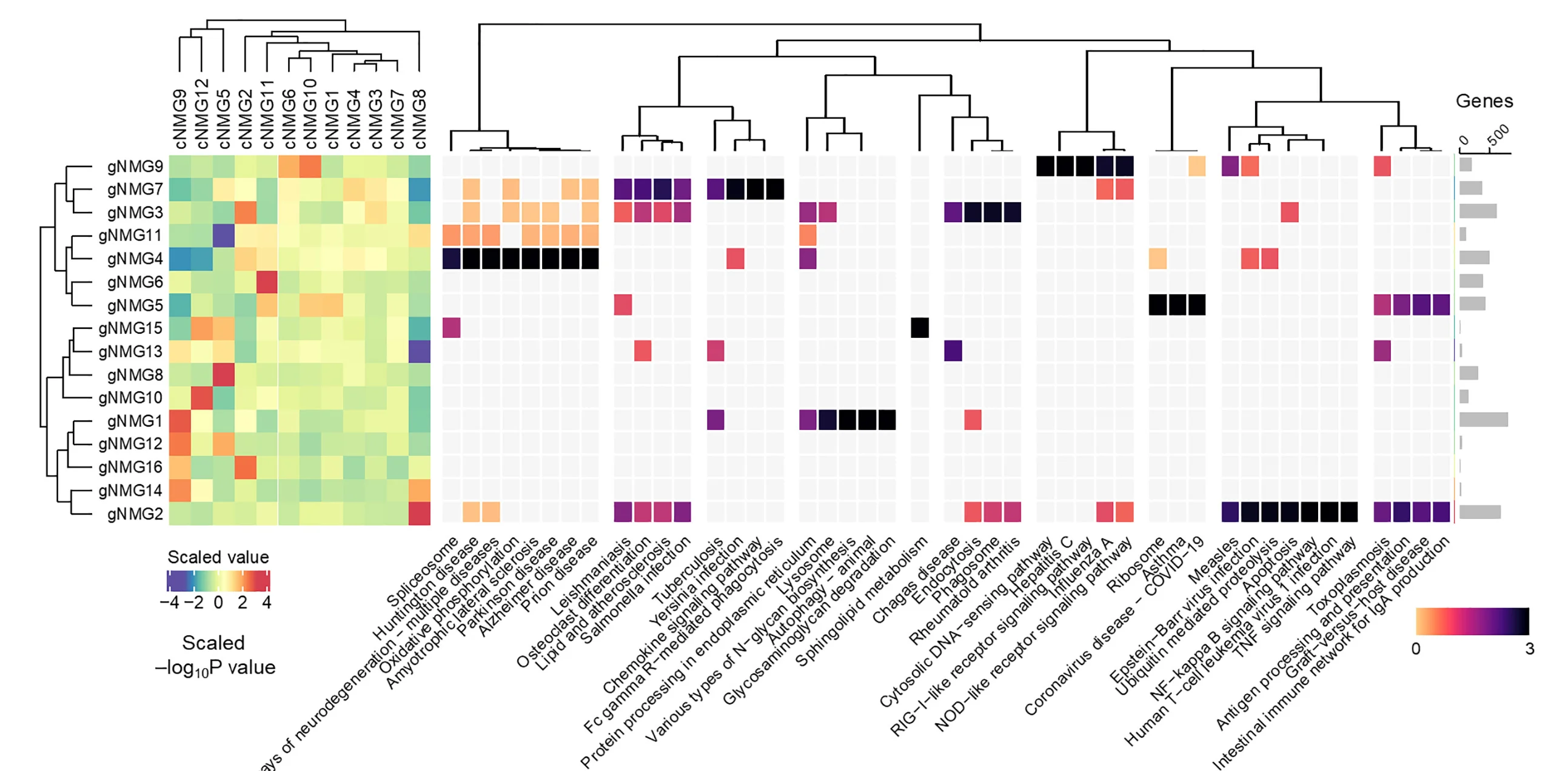 Open access visualization of Heatmap, Clustered, Bar Plot, Gene Co-Expression Analysis, WGCNA