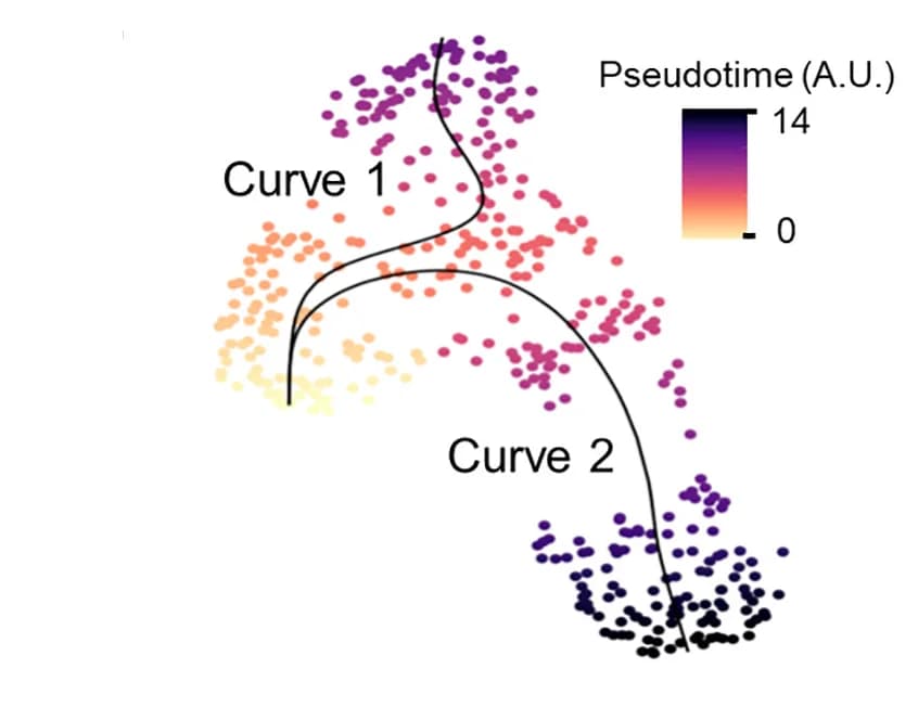 Open access visualization of Scatter Plot, Line Plot, Pseudo-Time Analysis, Ly6Chimonocytes, Monocyte-Derived Cells