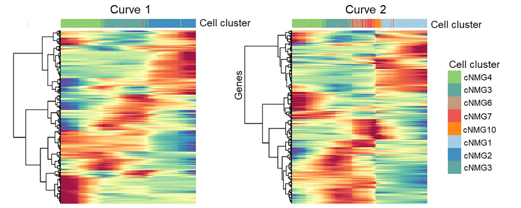 Open access visualization of Heatmap, Clustered, Heatmaps, Genes, Trajectories