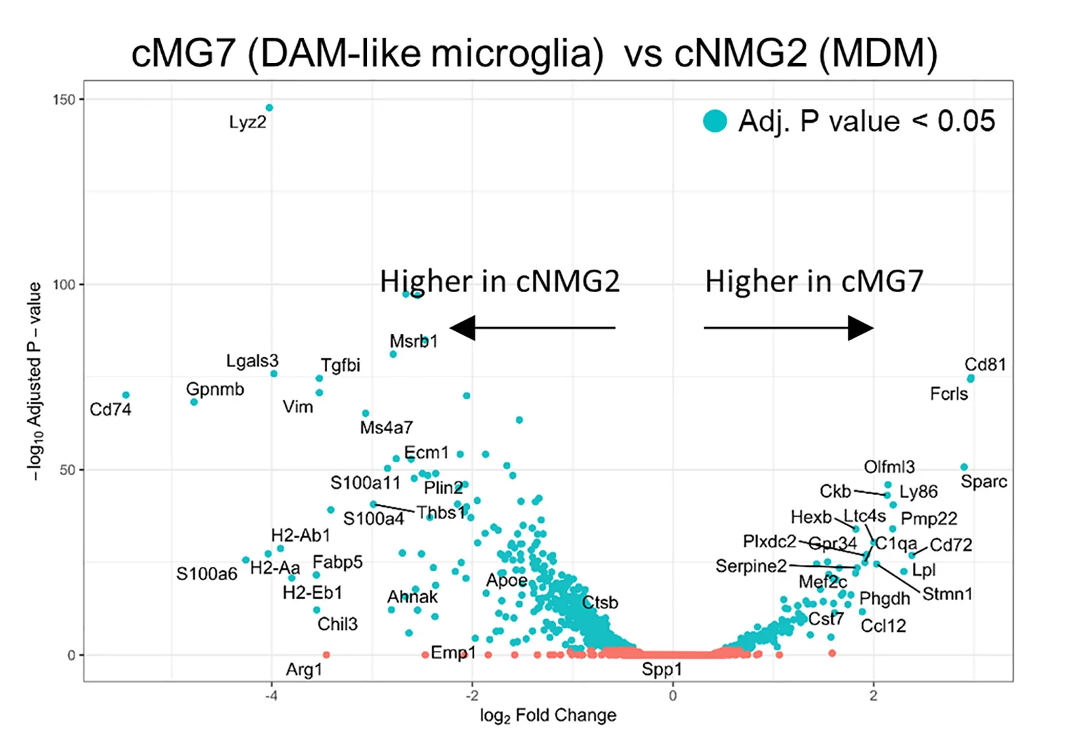 Open access visualization of Volcano Plot, Scatter Plot, Differential Gene Expression, cMG7, cNMG2