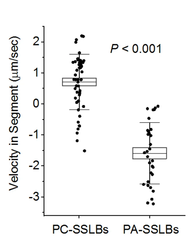 Open access visualization of Box Plot, Scatter Plot, Velocity, PC-SSLBs, PA-SSLBs