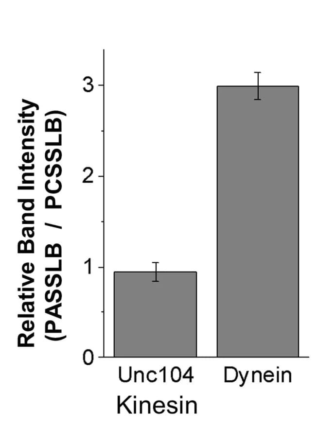 Open access visualization of Bar Plot, Error Bars, Motor Binding, PC-SSLB, PA-SSLB