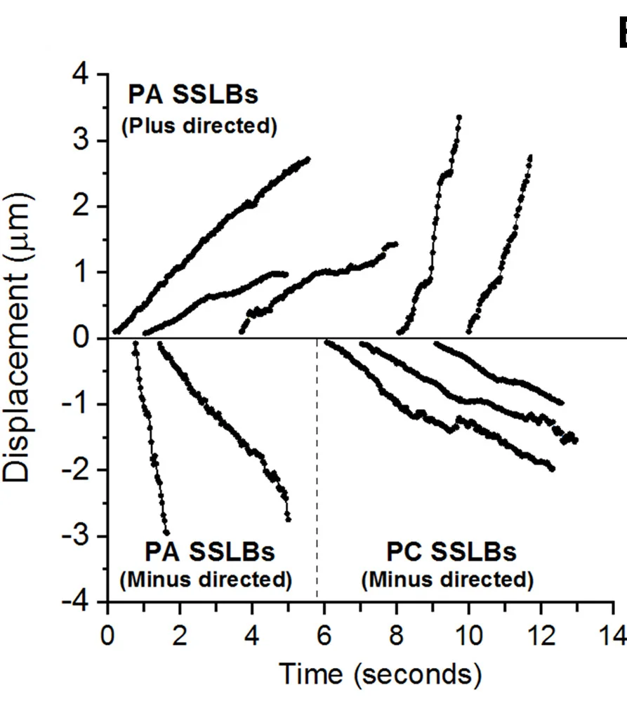 Open access visualization of Line Plot, PC-SSLBs, PA-SSLBs, Displacement, Time