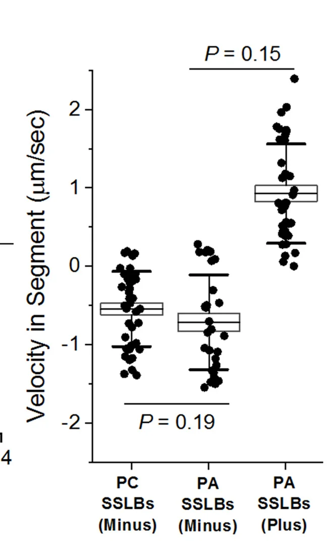 Open access visualization of Box Plot, Scatter Plot, PC-SSLBs, PA-SSLBs, Velocity
