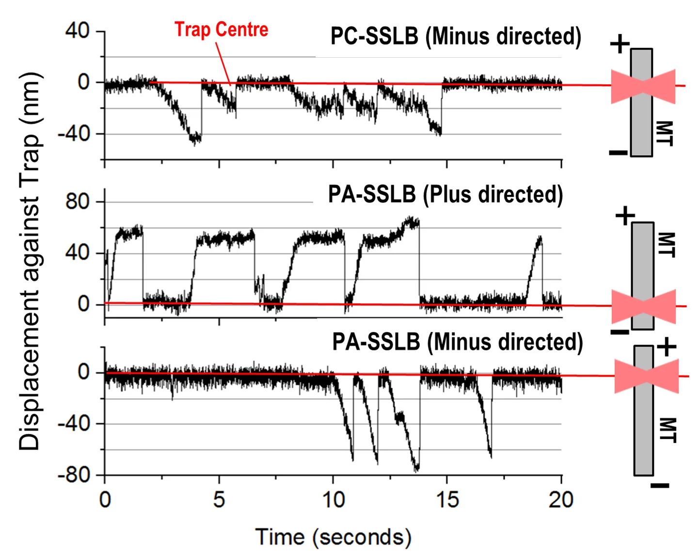 Open access visualization of Line Plot, Line Step, PC-SSLBs, PA-SSLBs, Displacement