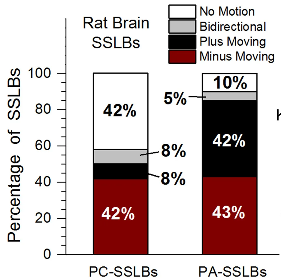 Open access visualization of Stacked Bar Plot, SSLBs, MTs, PA-SSLBs, PC-SSLBs