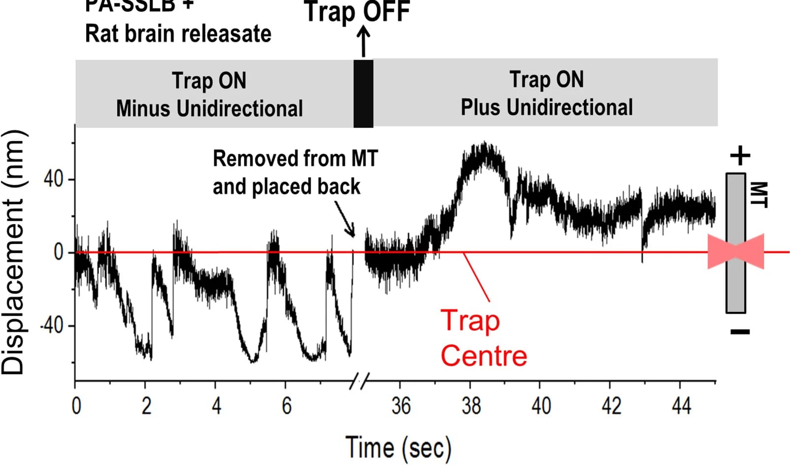 Open access visualization of Line Plot, Displacement vs Time, Optical Trap, PA-SSLB, Rat Brain Releasate