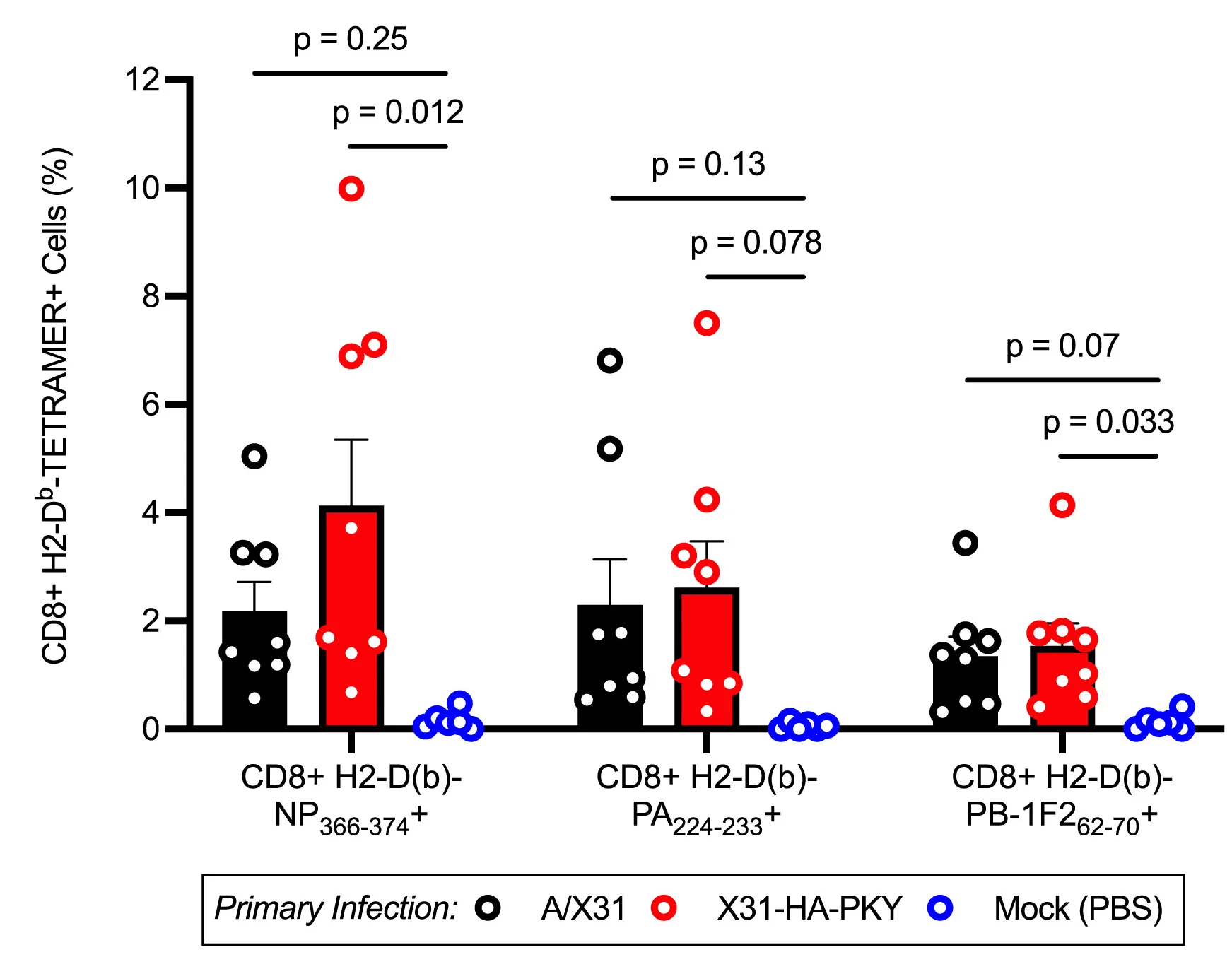 Open access visualization of Bar Plot, Error Bars, Scatter Plot, H2-Dbtetramer+ Cells, CD8+ T Cells