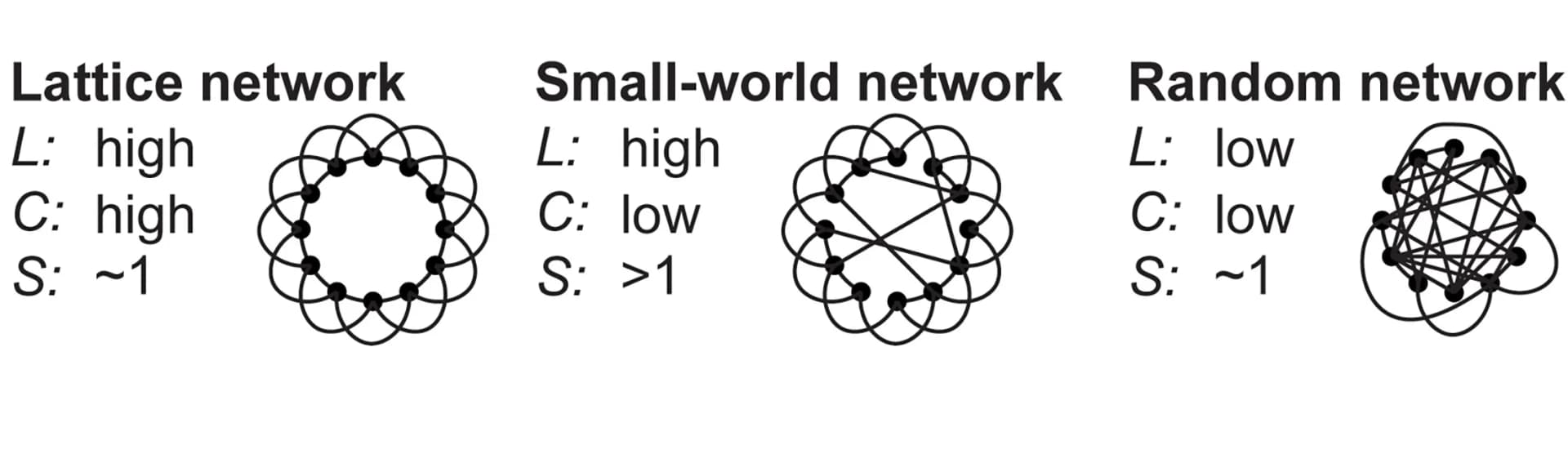 Open access visualization of Network, Lattice Network, Small World Network, Random Network, Characteristic Path Length