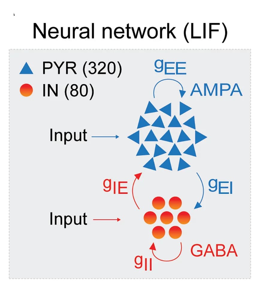 Open access visualization of Pathway, Network, Neural Network Model