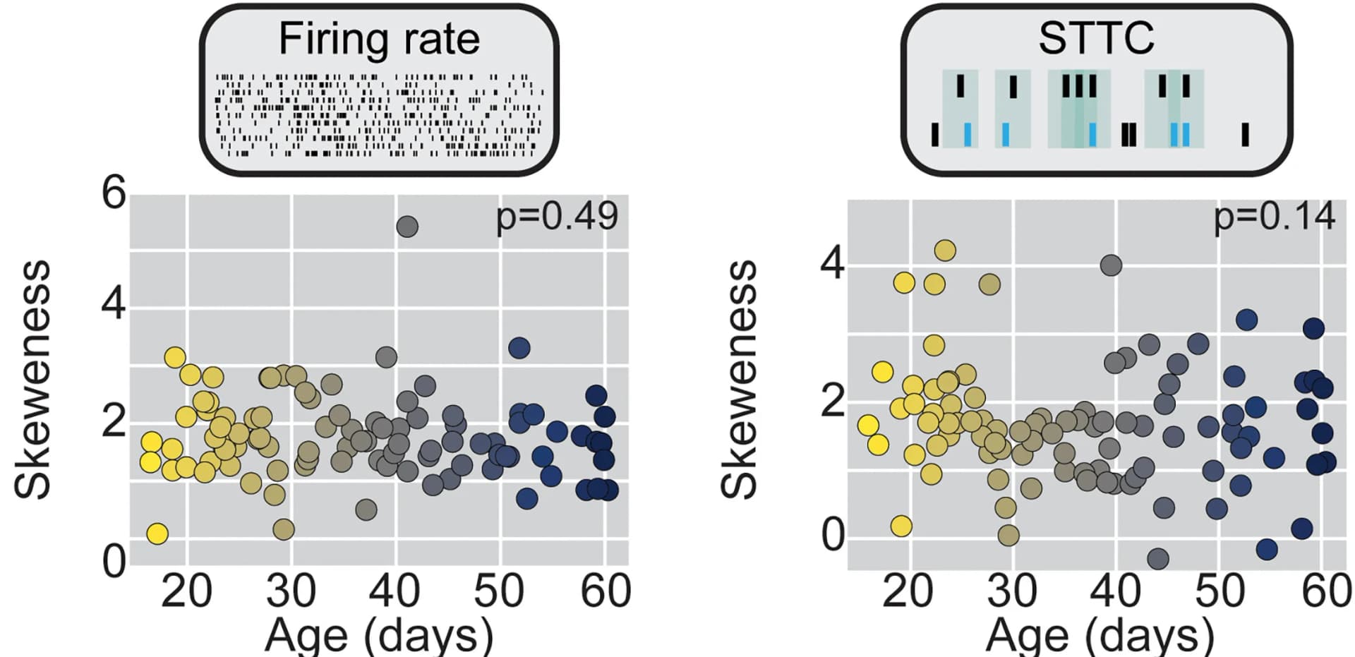 Open access visualization of Scatter Plot, Scatterplot, Firing Rate, STTC, Mice