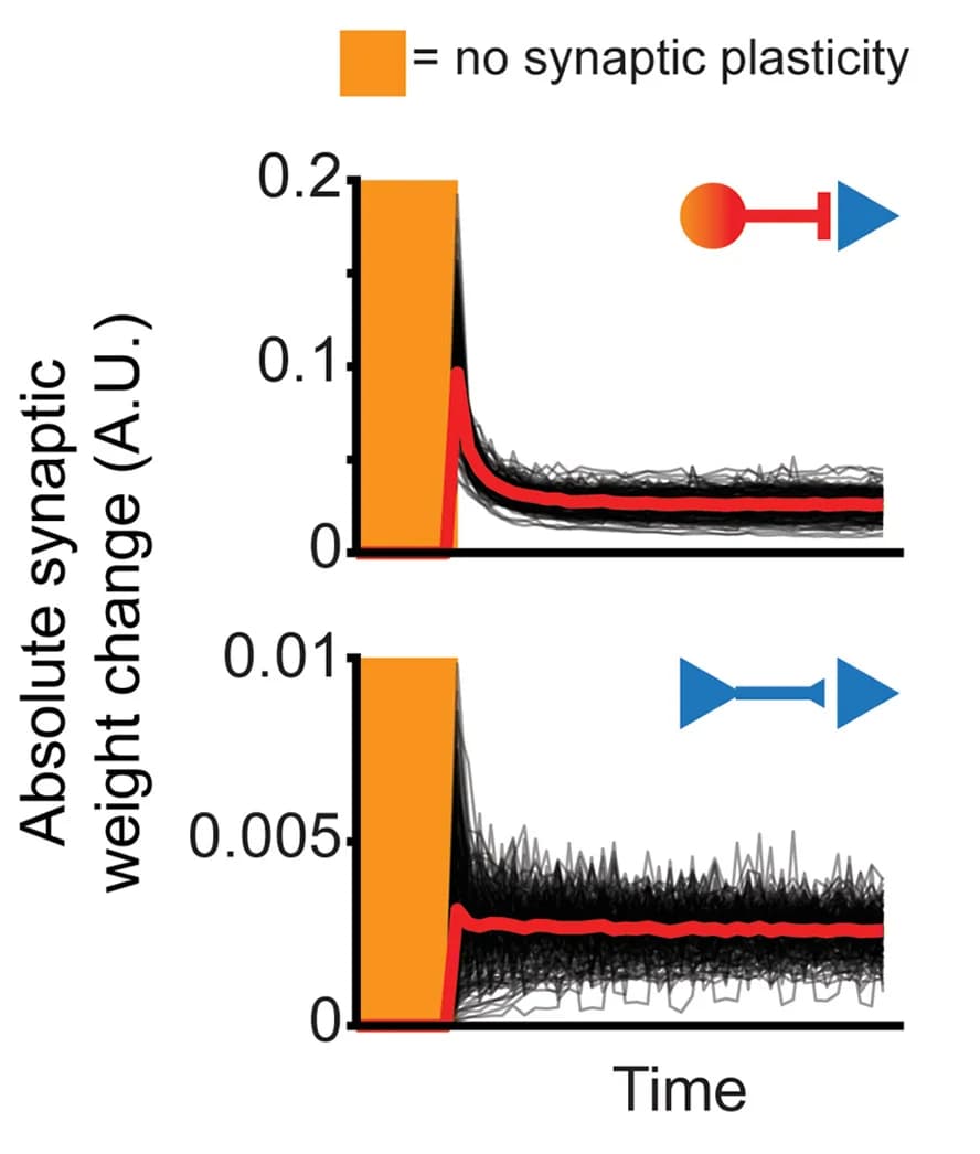 Open access visualization of Line Plot, Bar Plot, Synaptic Weight, IN-PYR, PYR-PYR