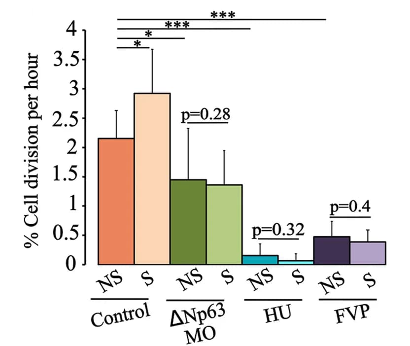 Open access visualization of Bar Plot, Error Bars, Clustered, Bar Graph, Cell Proliferation Inhibition