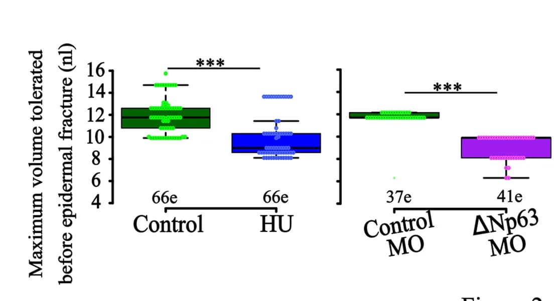 Open access visualization of Box Plot, Scatter Plot, Boxplots, Injected Oil Volume, Epidermal Fracture