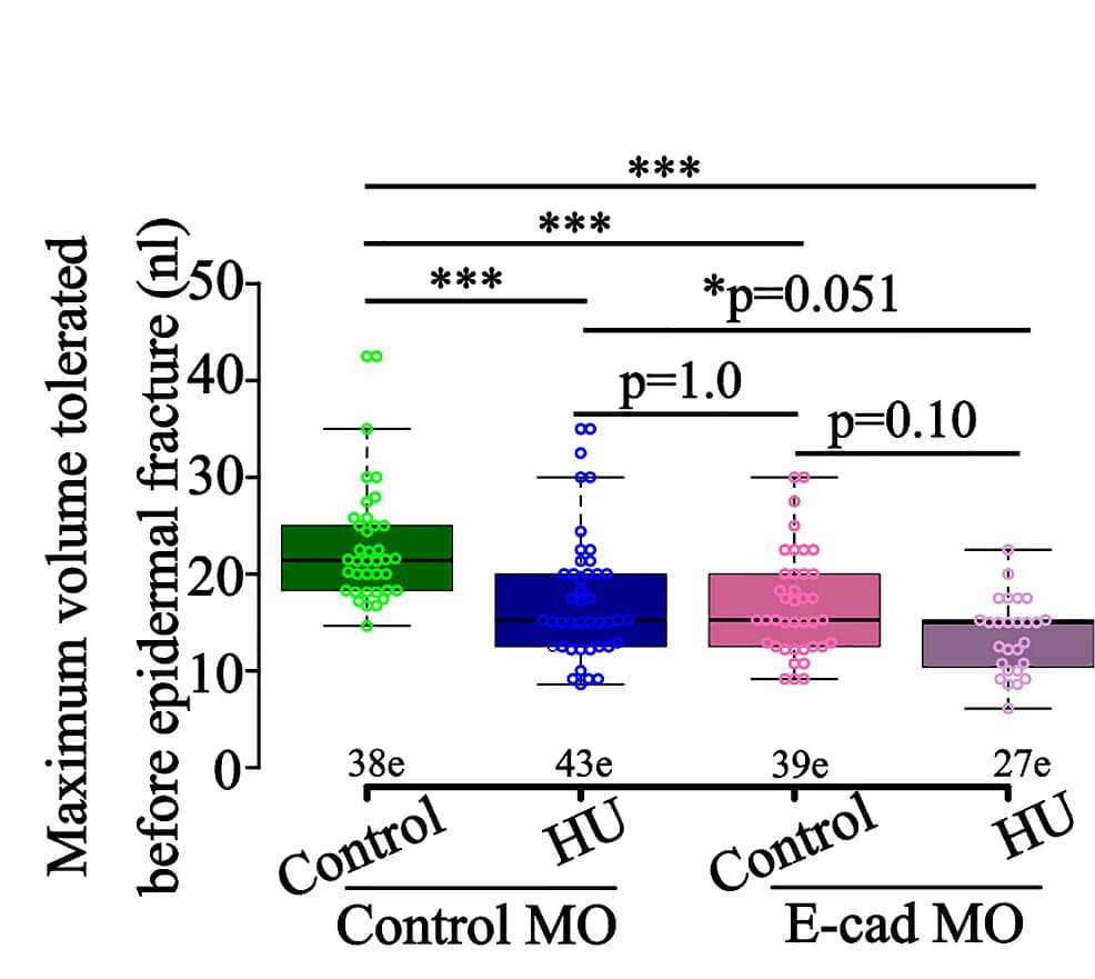 Open access visualization of Box Plot, Scatter Plot, Boxplots, Injection Volume, Acute Stretch