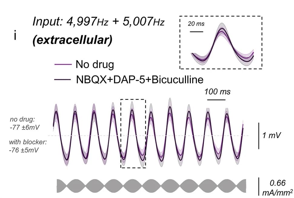 Open access visualization of Line Plot, Error Bars, Membrane Potential, Extracellular Electrical Stimulation, Neural Oscillation