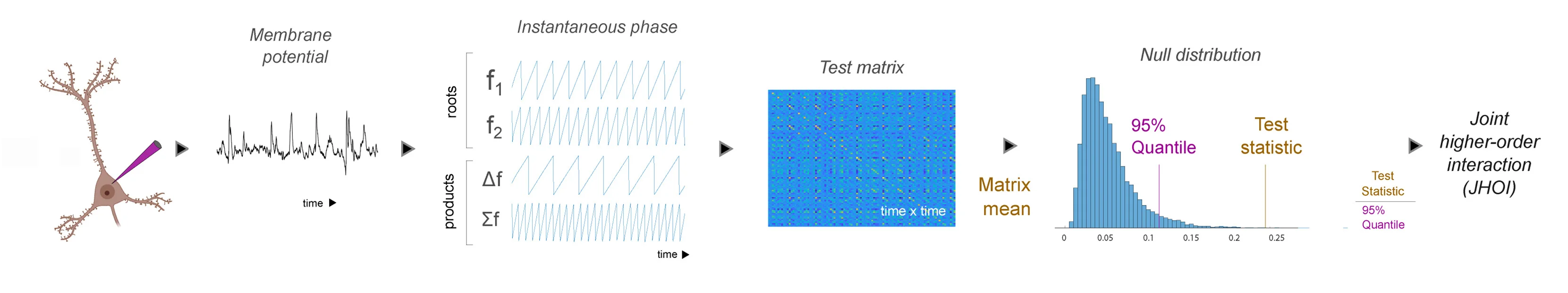 Open access visualization of Illustration, Line Plot, Heatmap, Histogram, Cell Membrane Potential