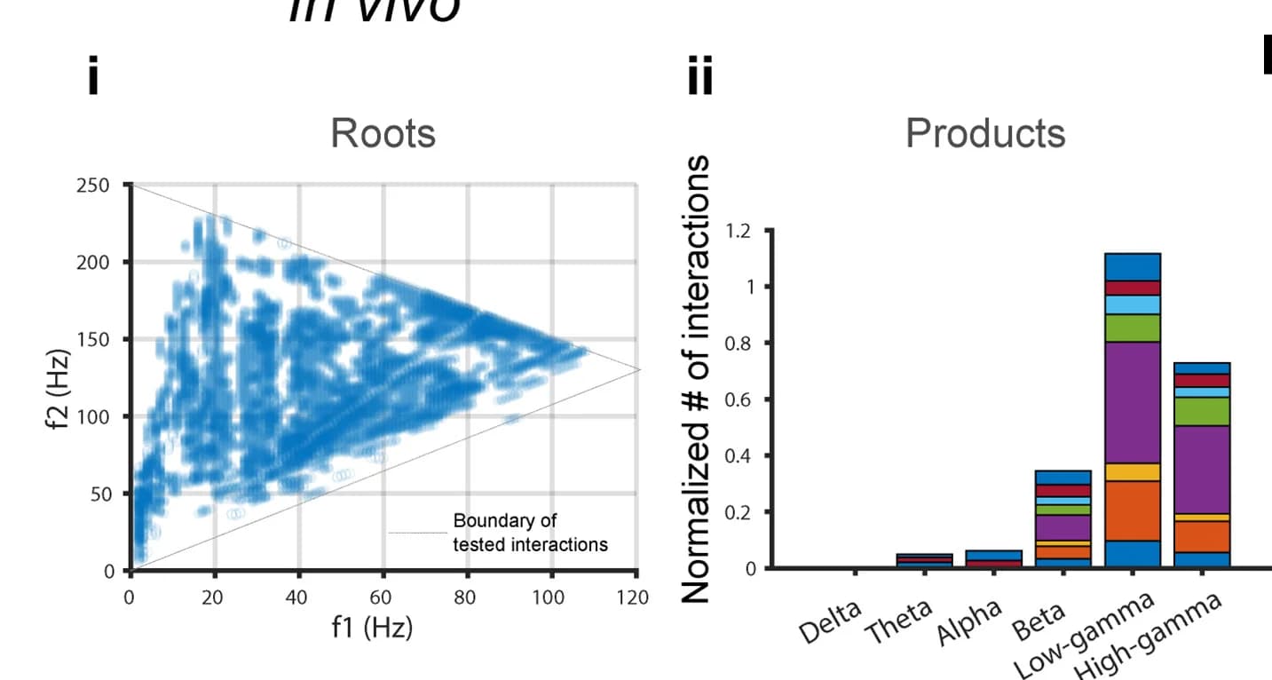 Open access visualization of Scatter Plot, Stacked Bar Plot, In Vivo Recordings, Frequency Quadruplets, Significant Mixing