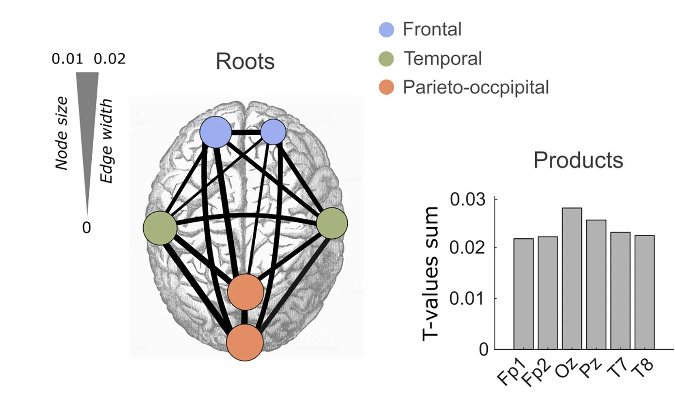 Open access visualization of Network, Bar Plot, Neural Network Oscillations, Cortical Sites, Spatial Topology