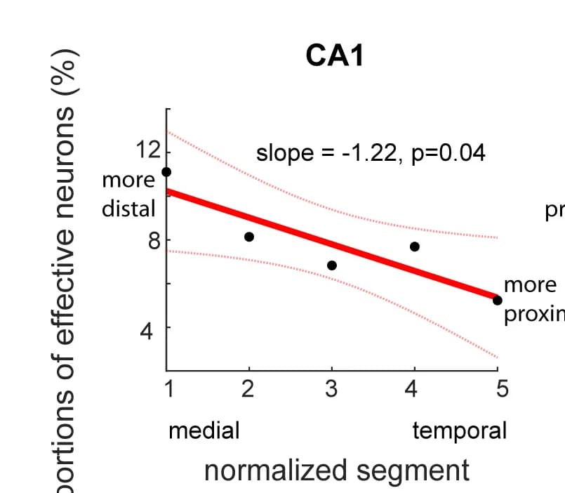 Open access visualization of Scatter Plot, Regression Plot, Distribution, Effective Neurons, Proximodistal Axis