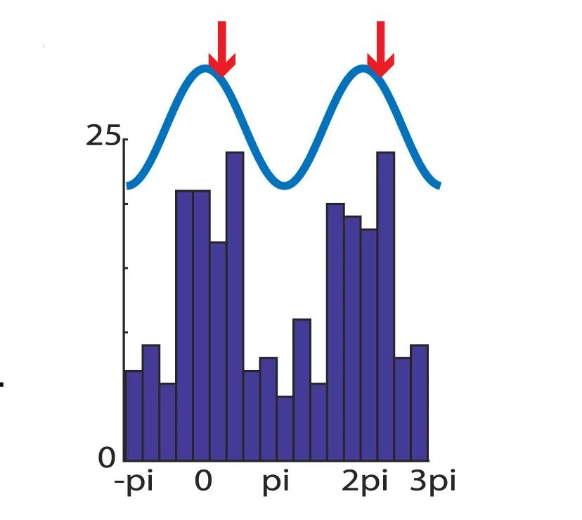 Open access visualization of Histogram, Line Plot, Phase Locking, Repeated Odors