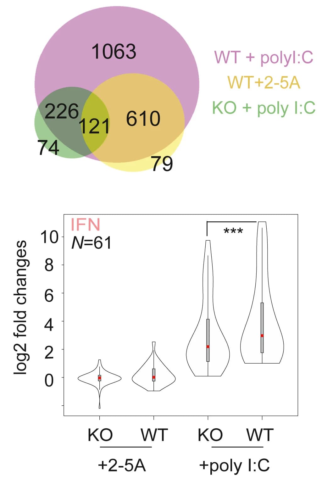 Open access visualization of Violin Plot, Venn Diagram, DE Genes, Poly(I:C), 2-5A