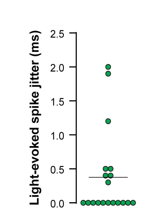 Open access visualization of Scatter Plot, Jitter, Light-Evoked Spikes, PV Interneurons