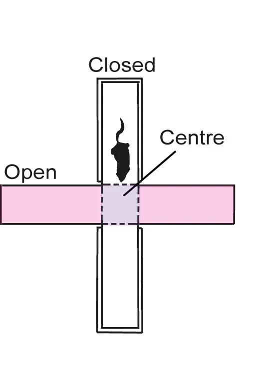 Open access visualization of Illustration, EPM Layout, Closed Arms, Center, Open Compartments