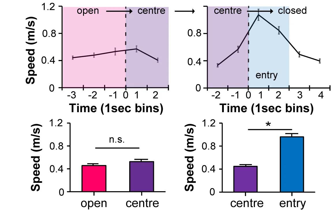 Open access visualization of Line Plot, Error Bars, Bar Plot, Mice, Speed