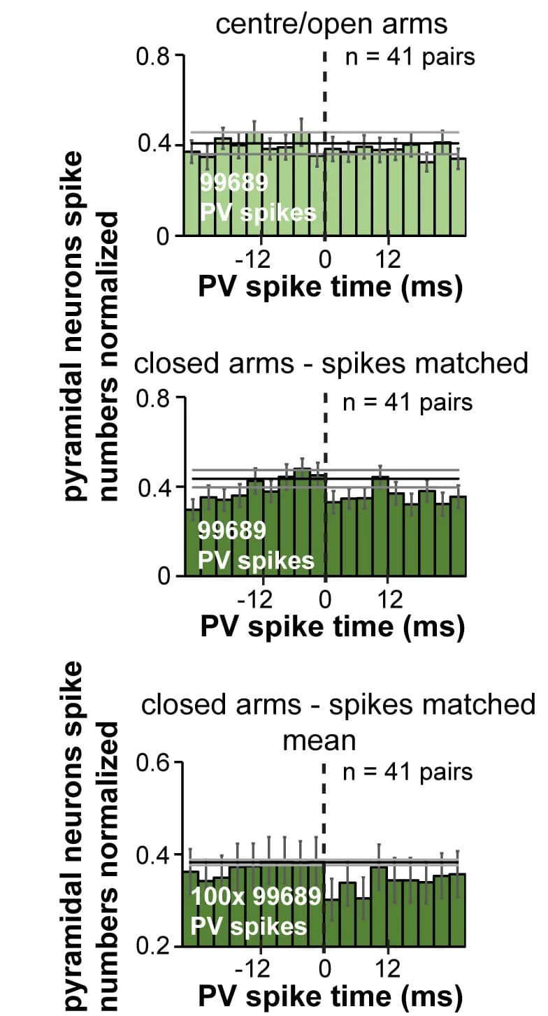 Open access visualization of Bar Plot, Error Bars, Histogram, Pyramidal Neurons, Inhibitory Response