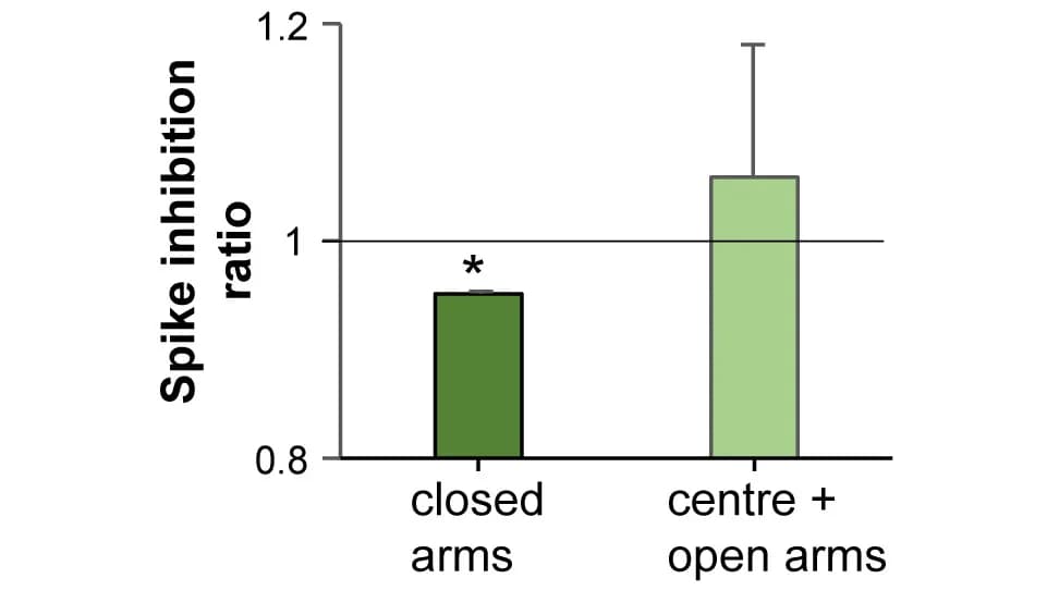 Open access visualization of Bar Plot, Error Bars, Pyramidal Neurons, Inhibition, PV Interneuron