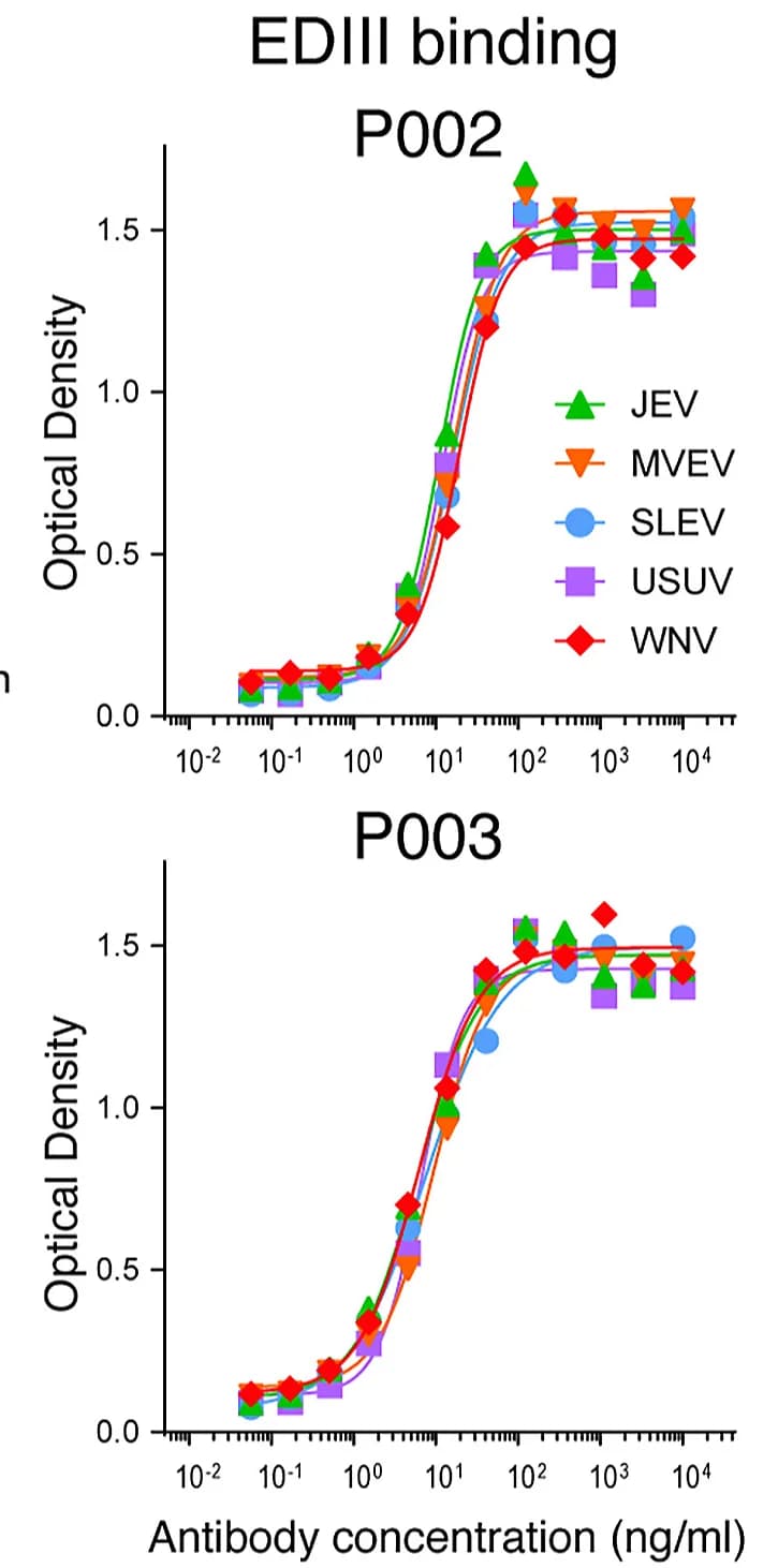 Open access visualization of Line Plot, Scatter Plot, ELISA, IgG Antibodies, Flaviviruses