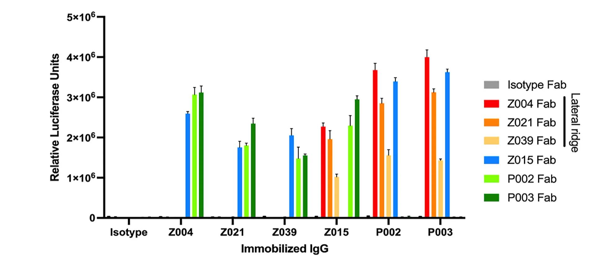 Open access visualization of Bar Plot, Error Bars, Clustered, Sandwich ELISA, P002