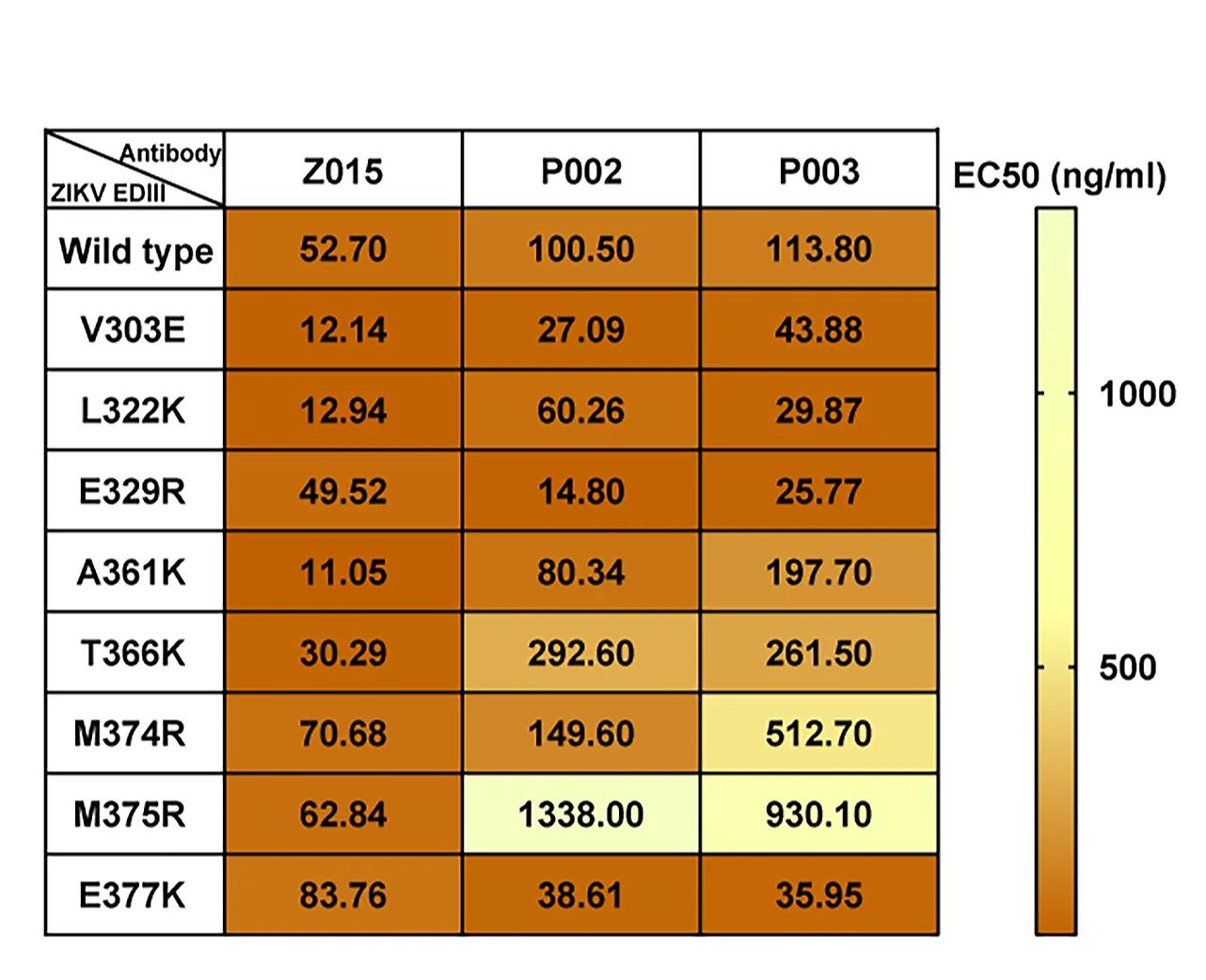 Open access visualization of Heatmap, P003, P002, ZIKV EDIII, Epitope Residues