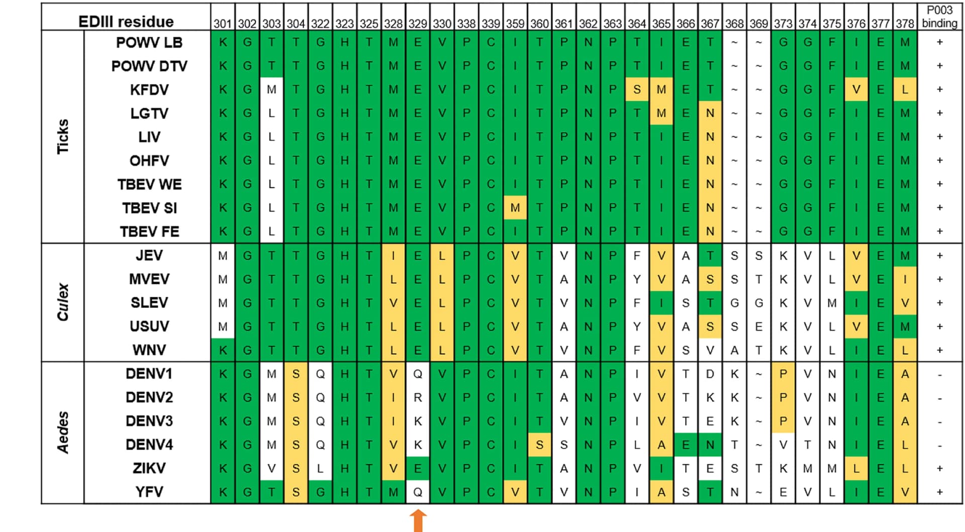 Open access visualization of Table Image, P003 Contact Residues, EDIII Proteins, ELISA, POWV
