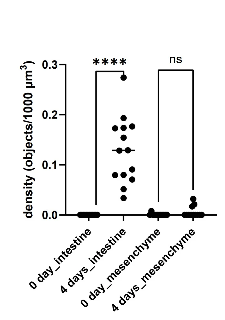 Open access visualization of Scatter Plot, Error Bars, CFSE, Intestine, Mesenchyme